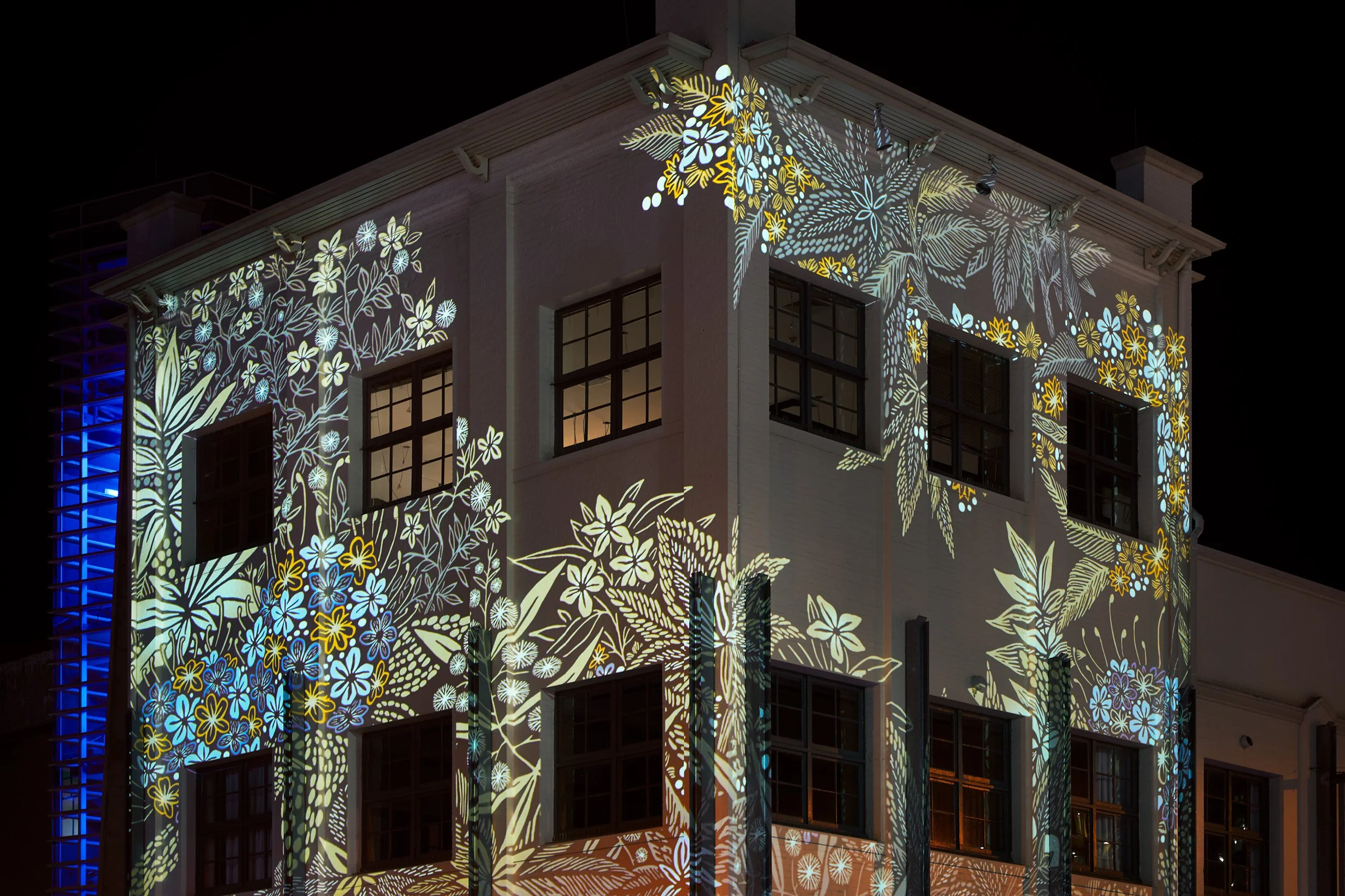 Complex Ecologies: Evergreens at Dusk