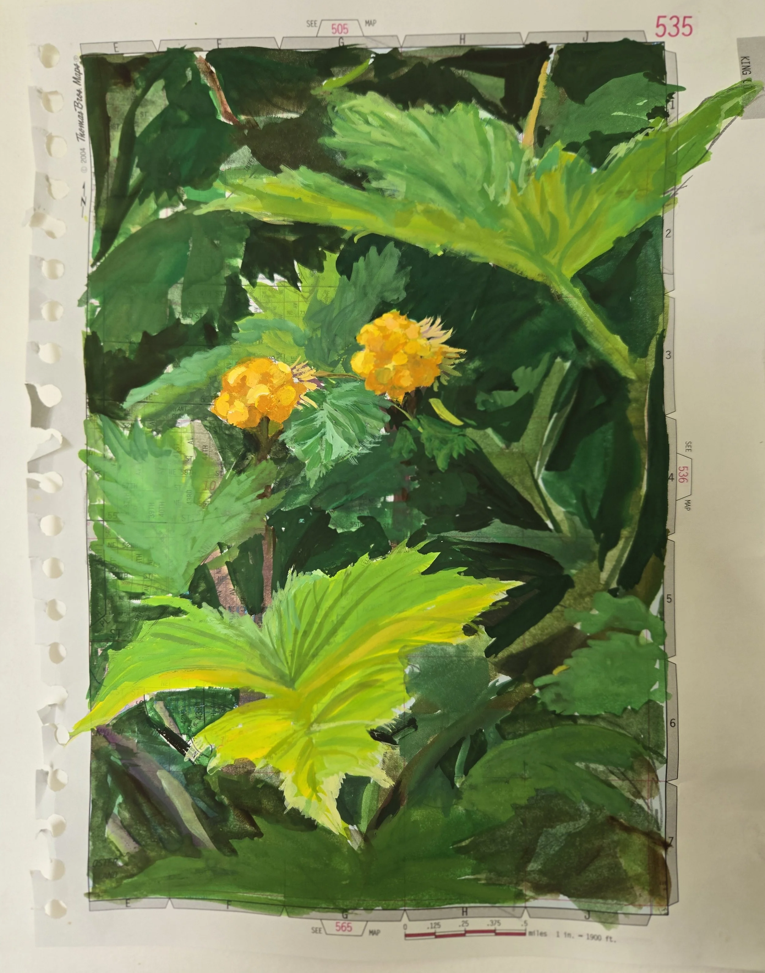 "Number  535" (Thomas Guide series)
Gouache on paper
11" x 8.5"
(Available)