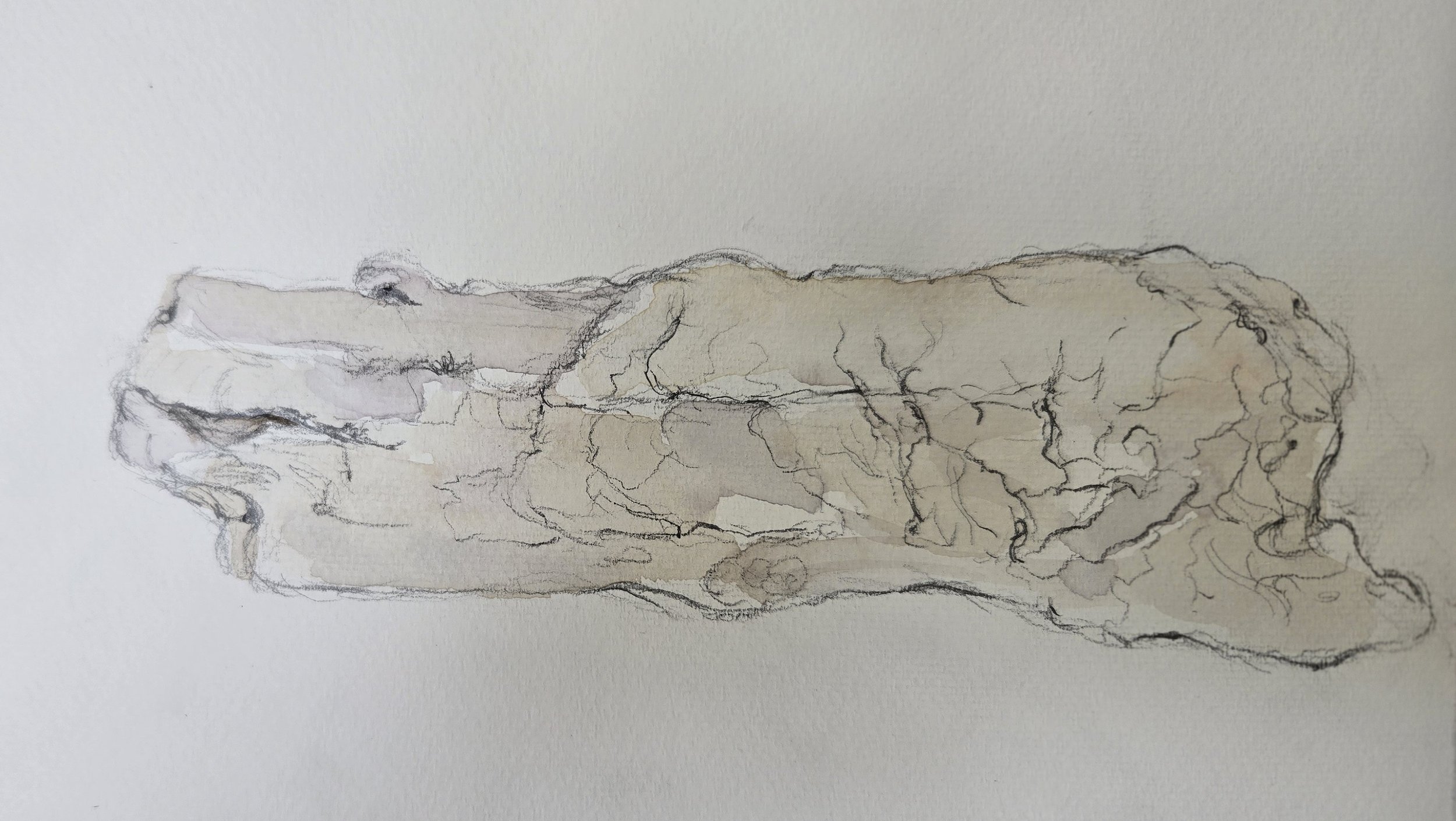 "Old Man Wood"
Watercolor on paper
9" x 12"
(Available)