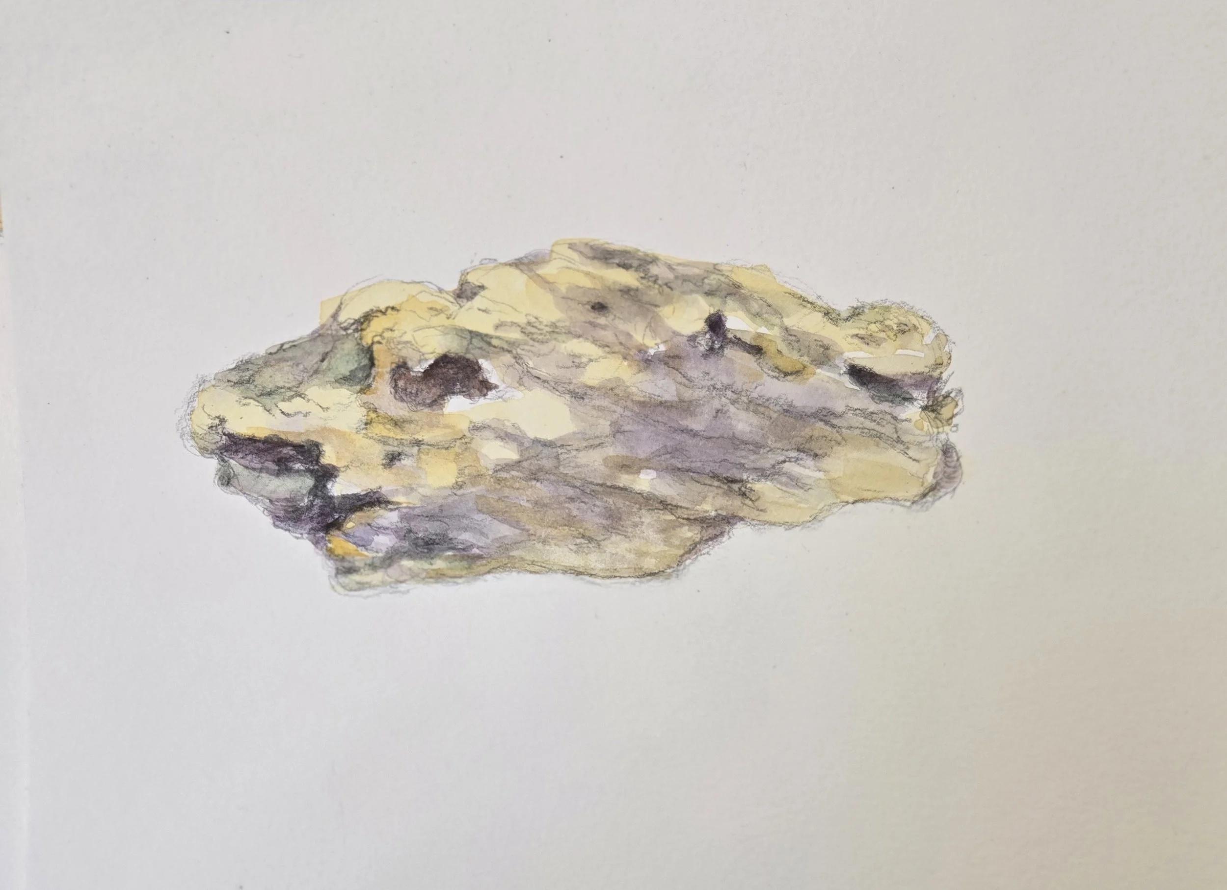"Gnarled Wood"
Watercolor on paper
6" x 9"
(Available)