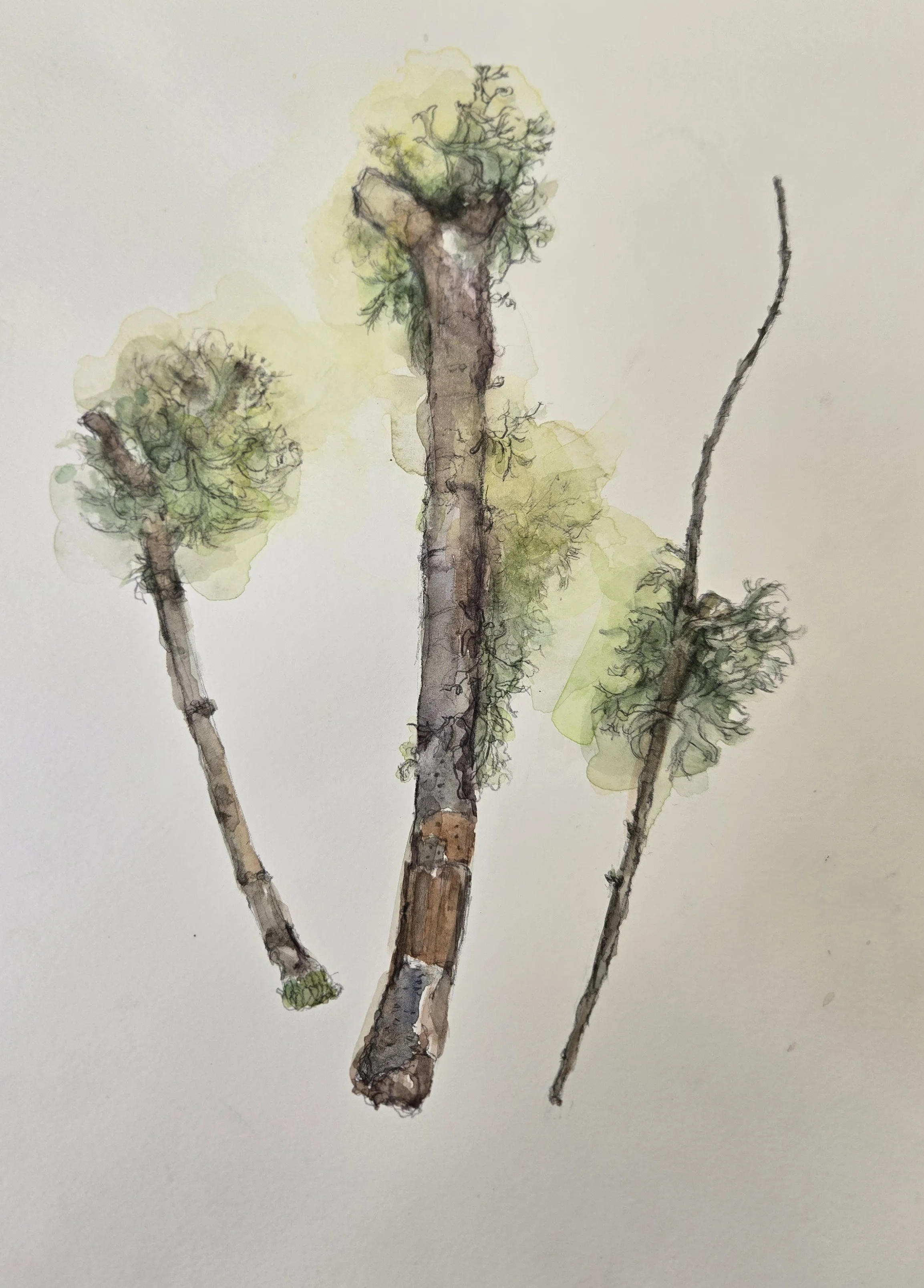 "Three Wands"
Watercolor on paper
15" x 11"
(Available)