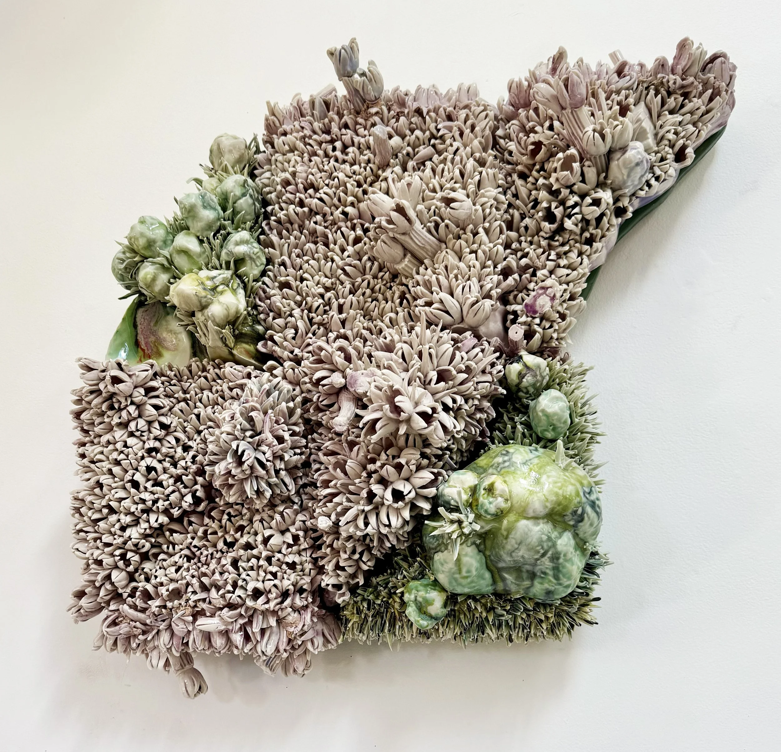 Ecotone