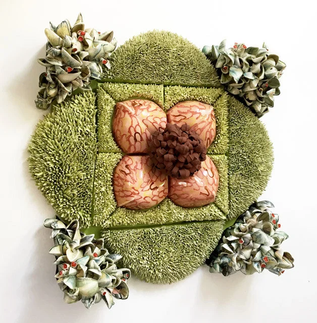 Contained Chrysanthemum