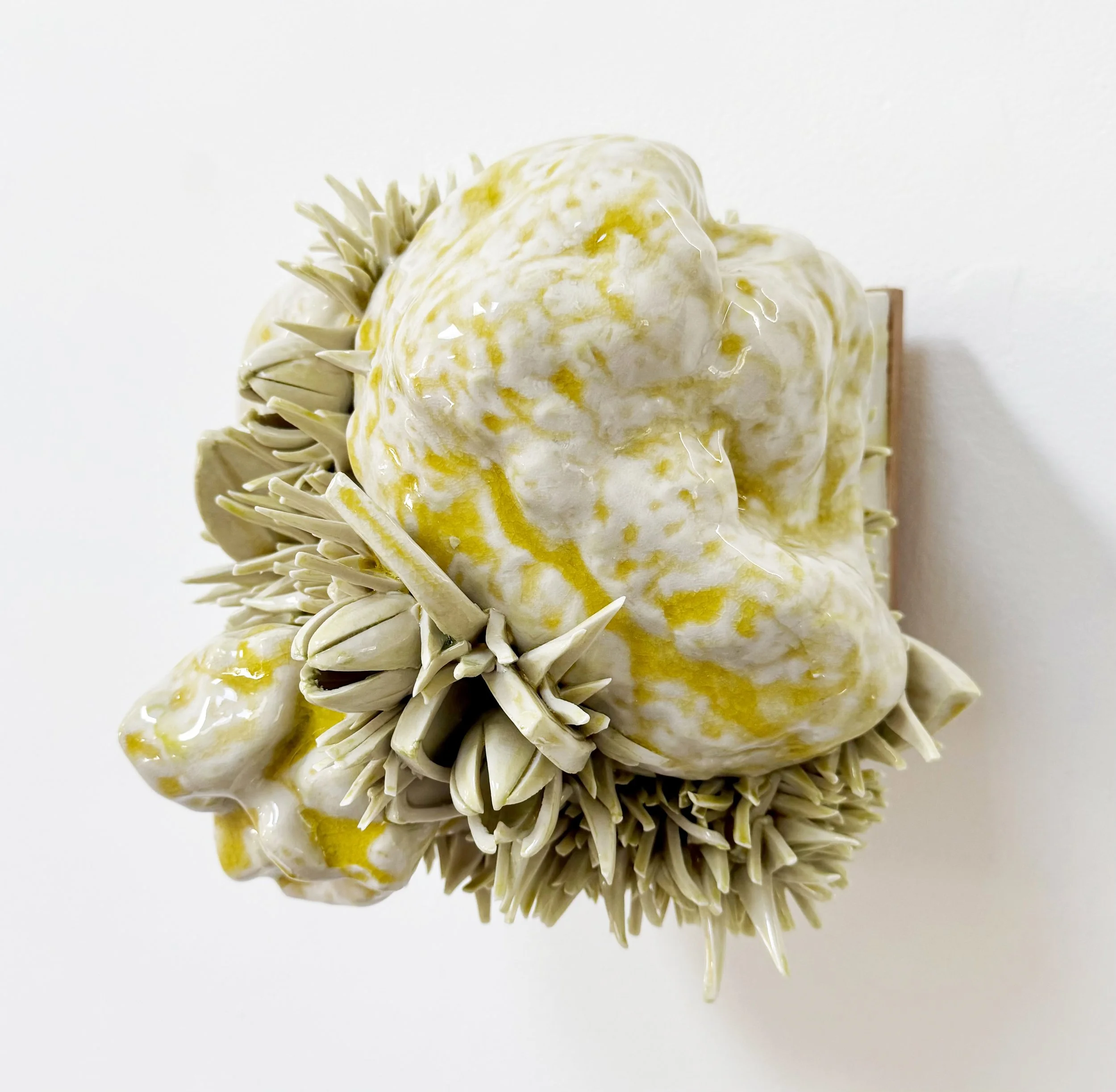 Wall Scape (yellow Detail.jpg