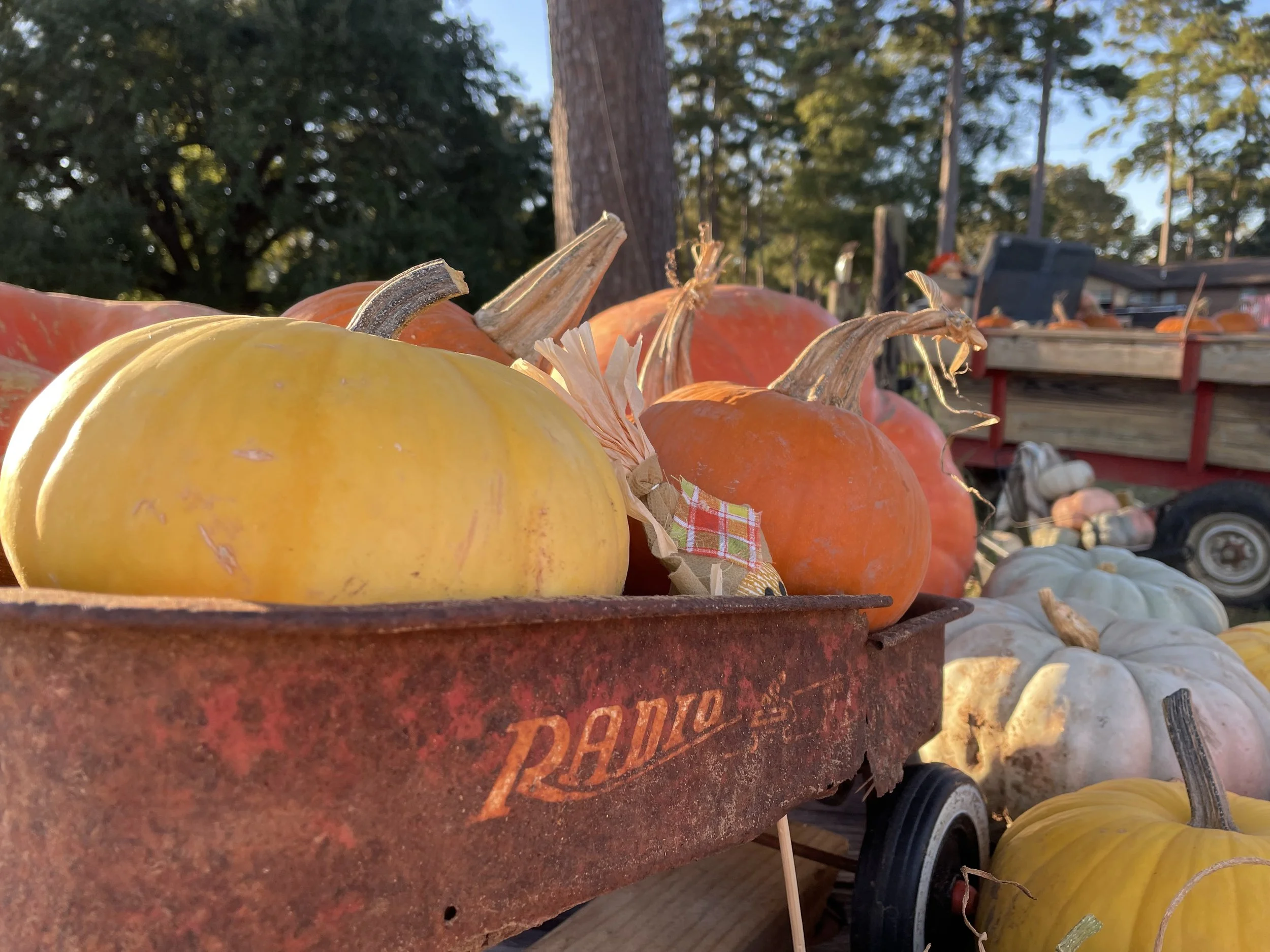 A Lively Fall Market