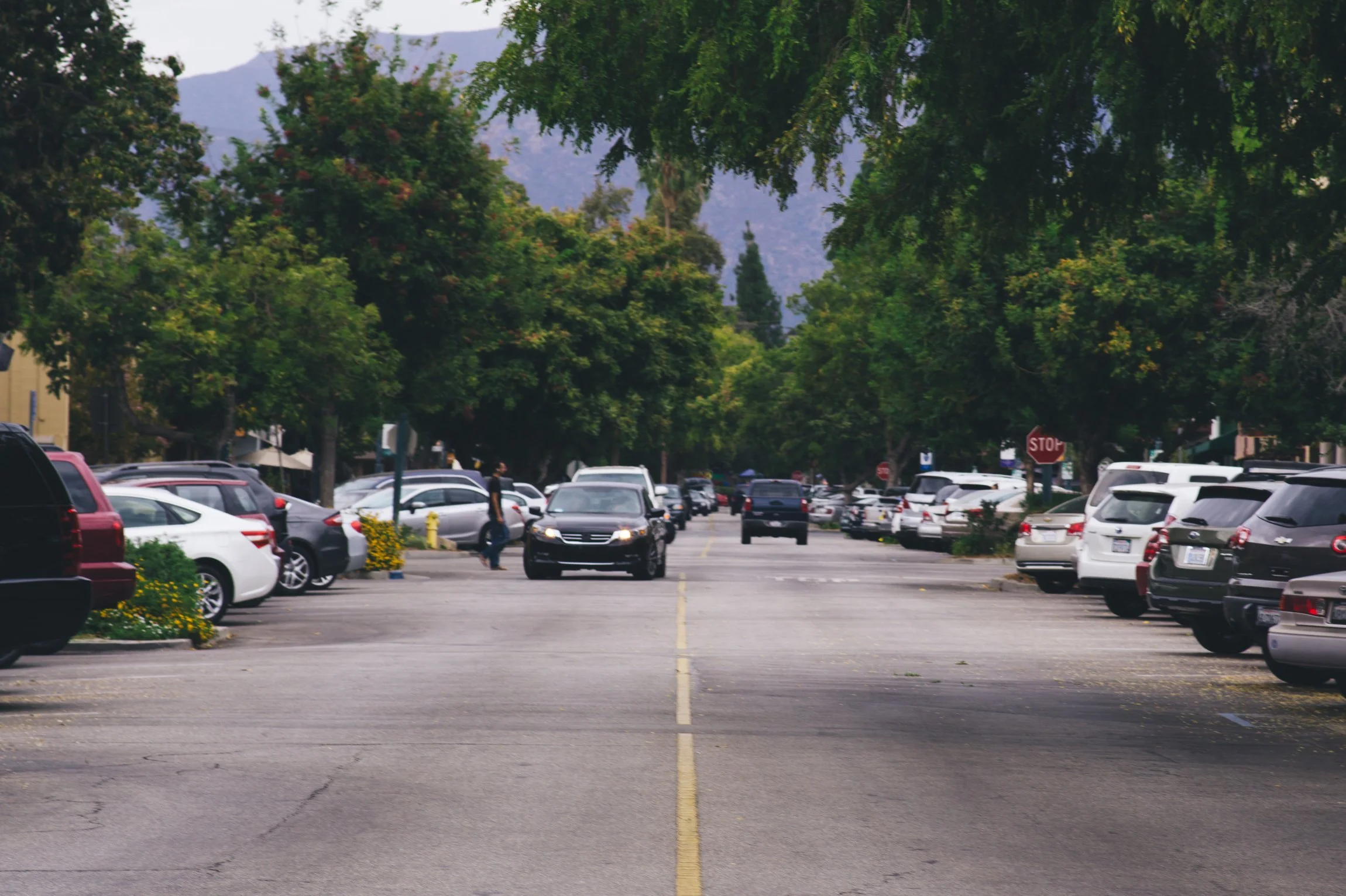 2016 September, 20 155231-2.jpg