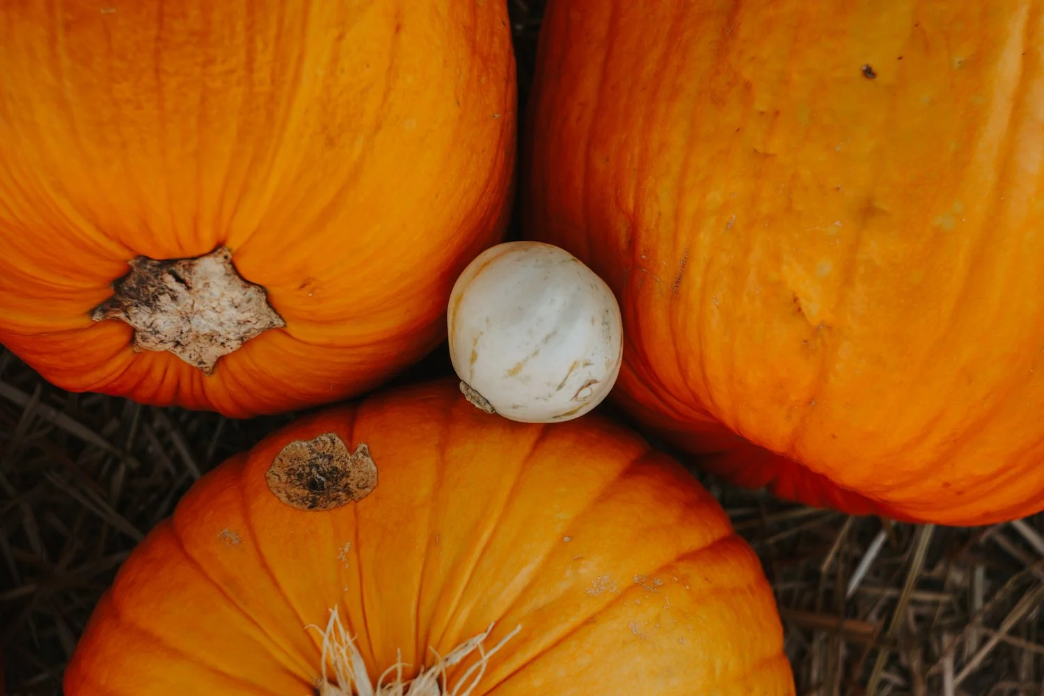 Blog_003.jpg