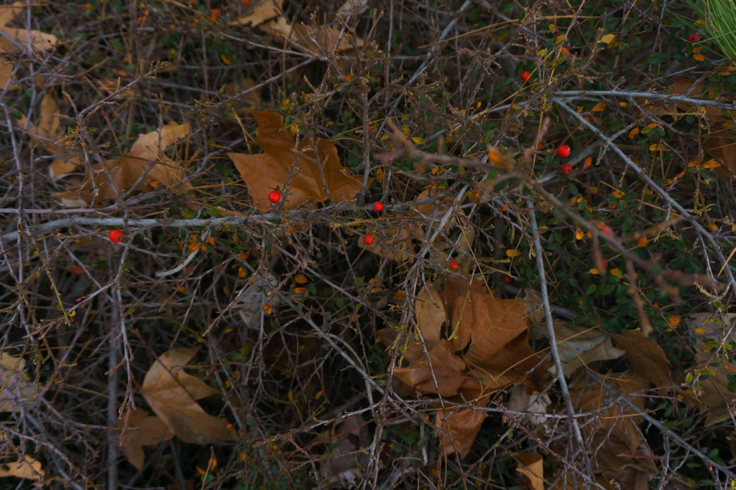 Blog_012.jpg