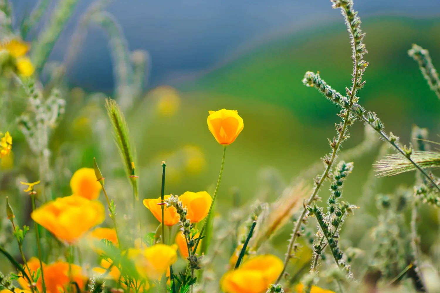 Blog_006.jpg