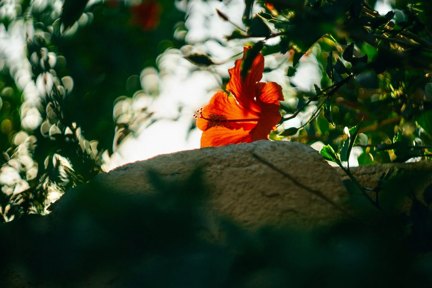 Blog_011.jpg