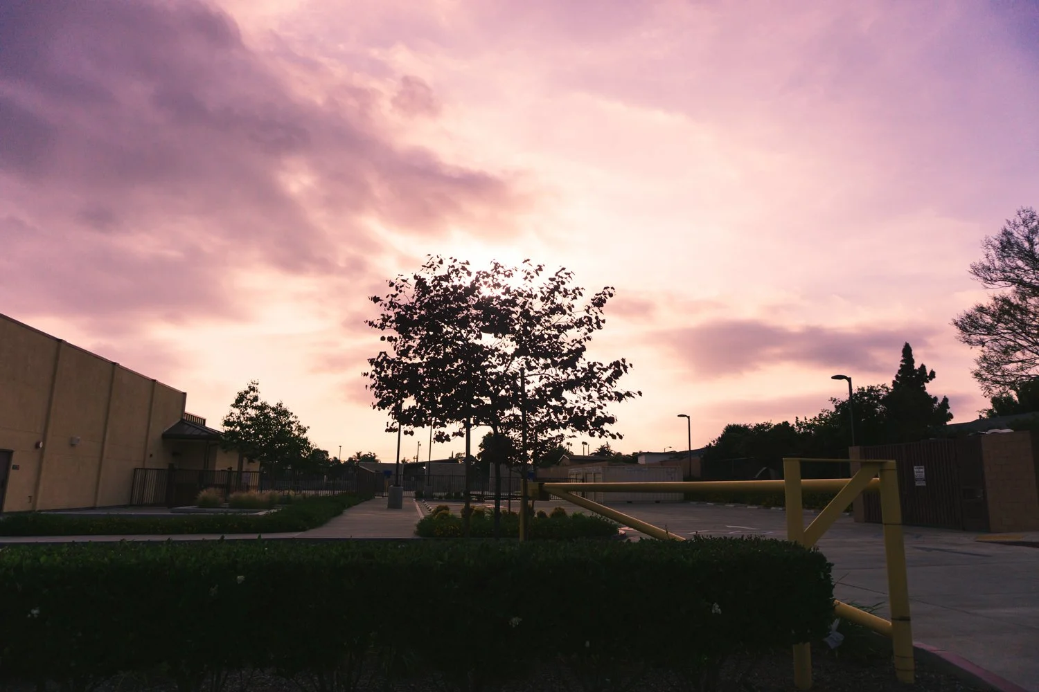 Blog_002.jpg