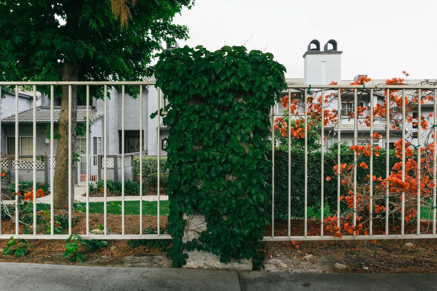 Blog_003.jpg