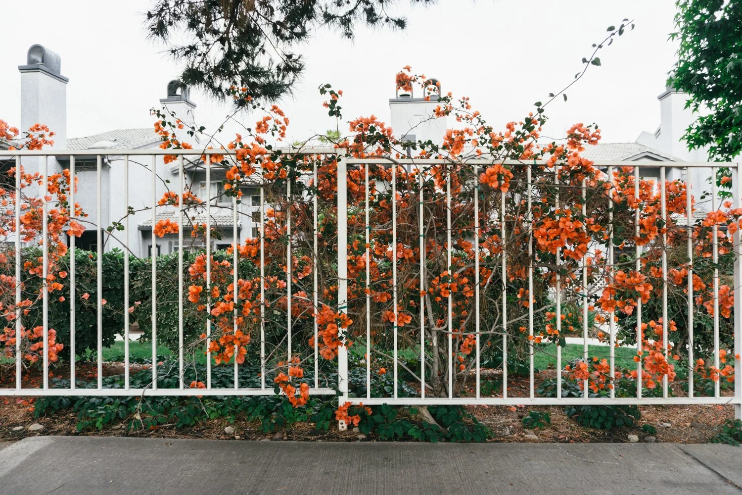 Blog_004.jpg