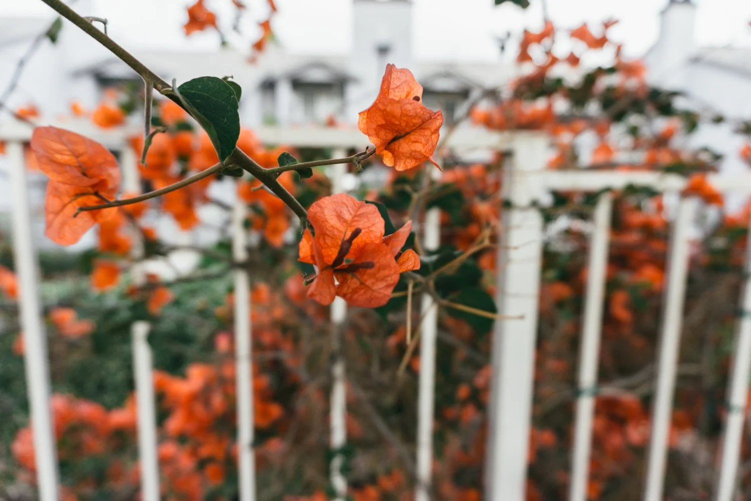 Blog_005.jpg