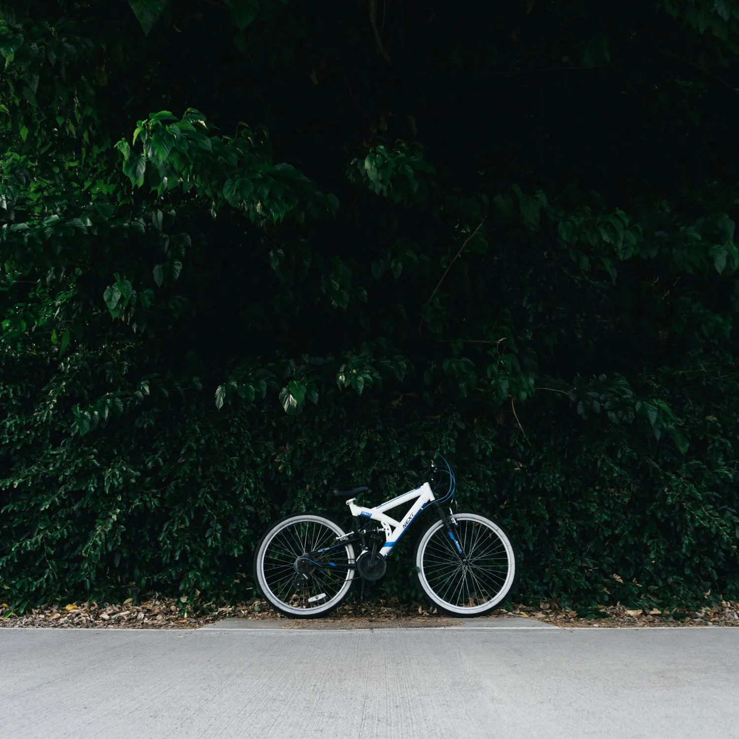 Blog_011.jpg