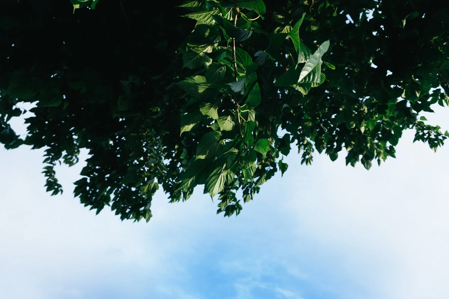 Blog_012.jpg