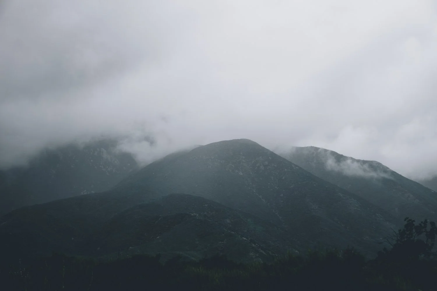 Blog_001.jpg