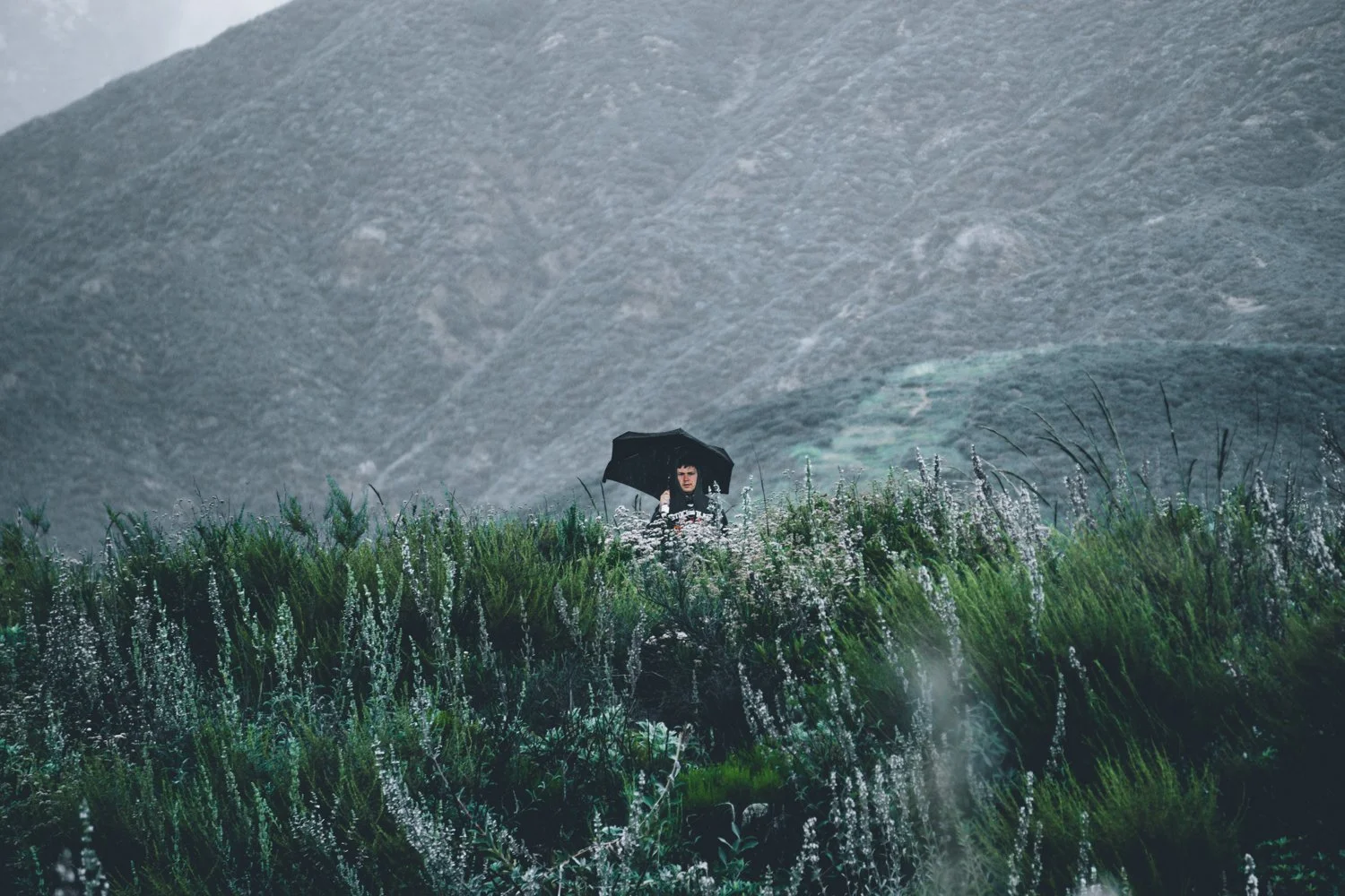 Blog_002.jpg