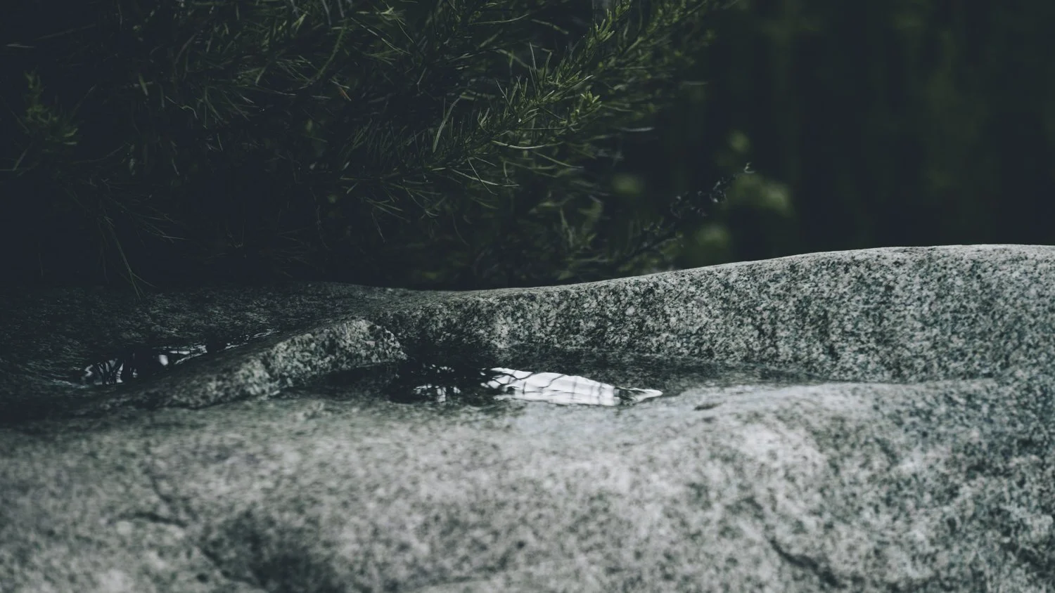 Blog_003.jpg