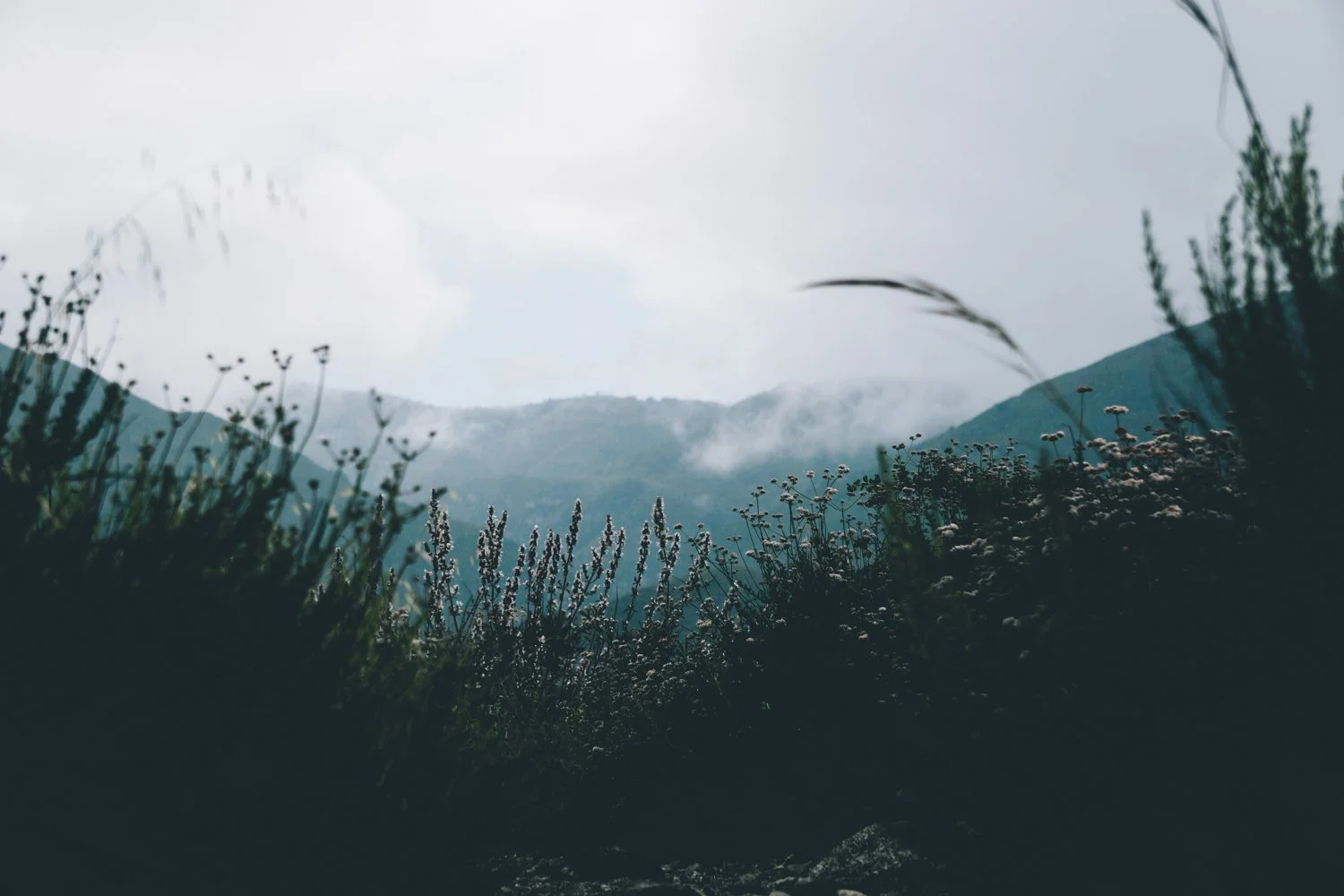 Blog_004.jpg