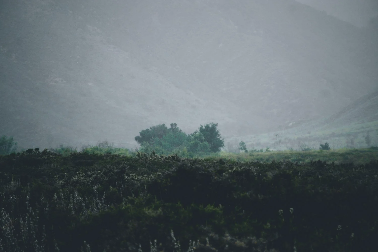 Blog_006.jpg
