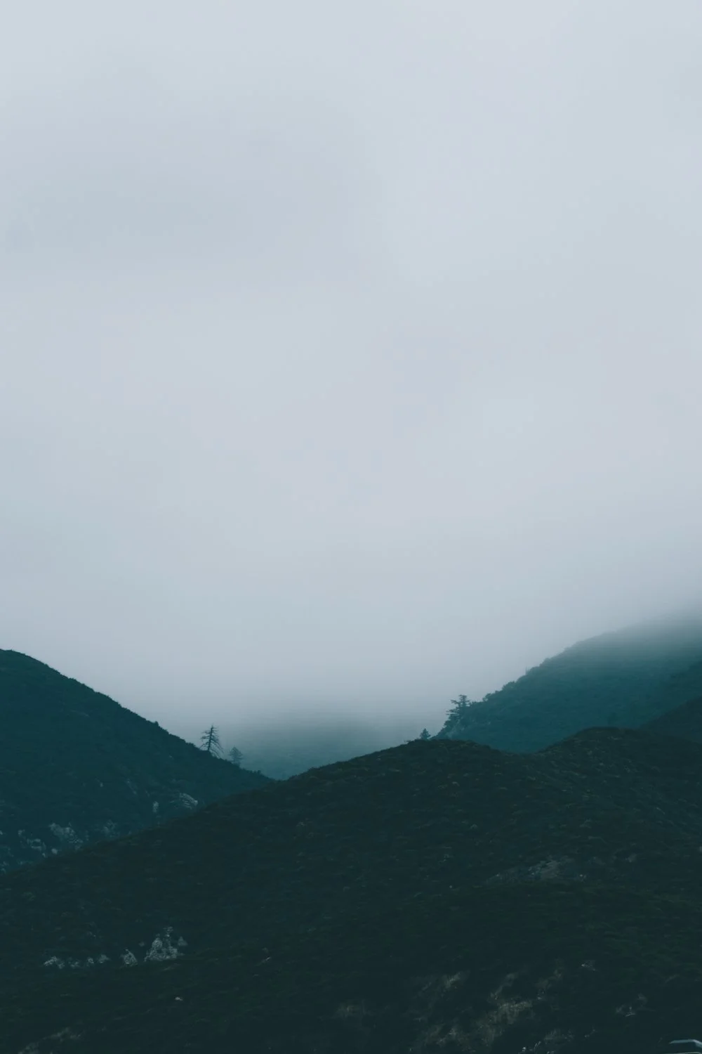Blog_011.jpg