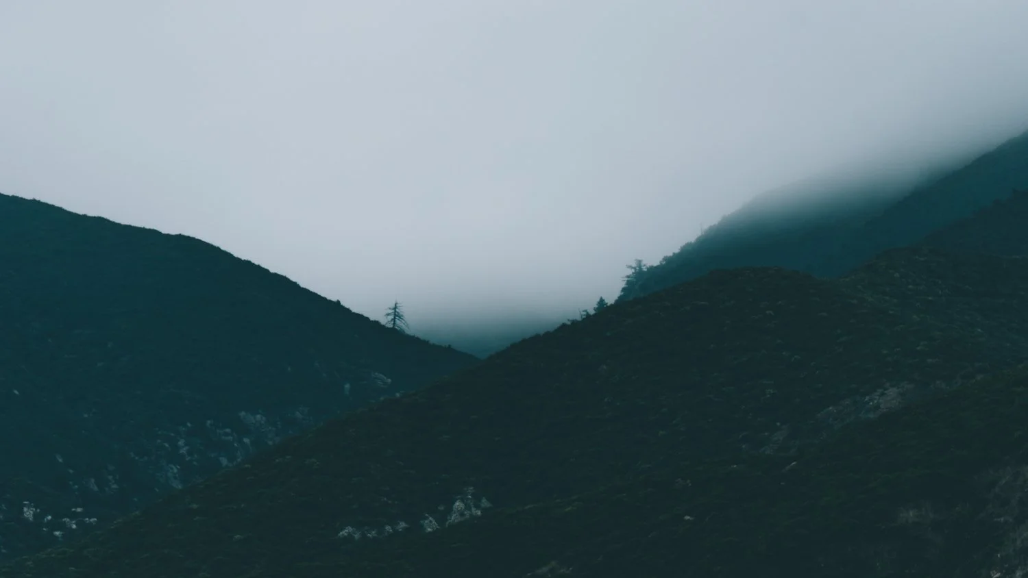 Blog_014.jpg