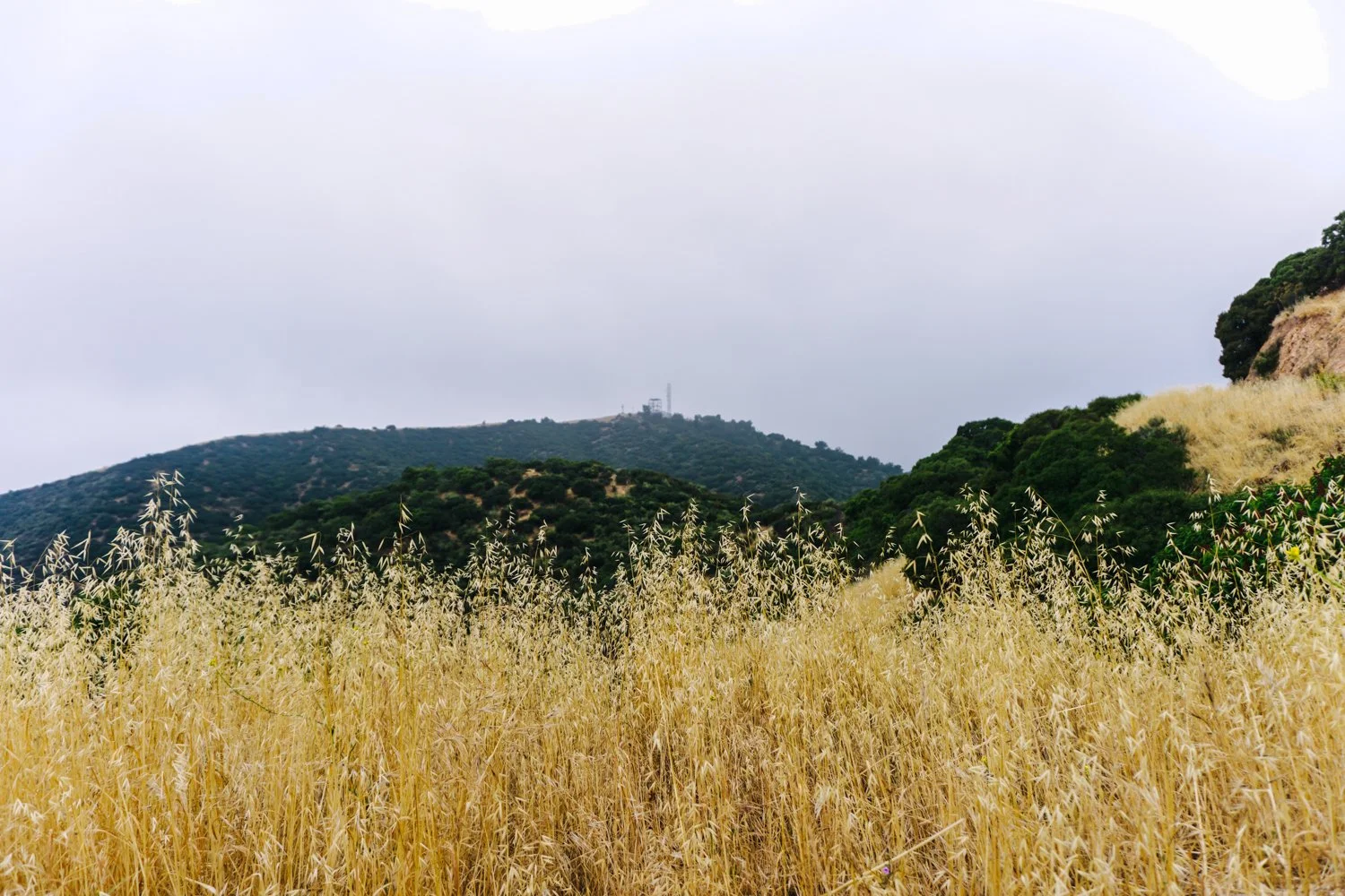 Blog_003.jpg