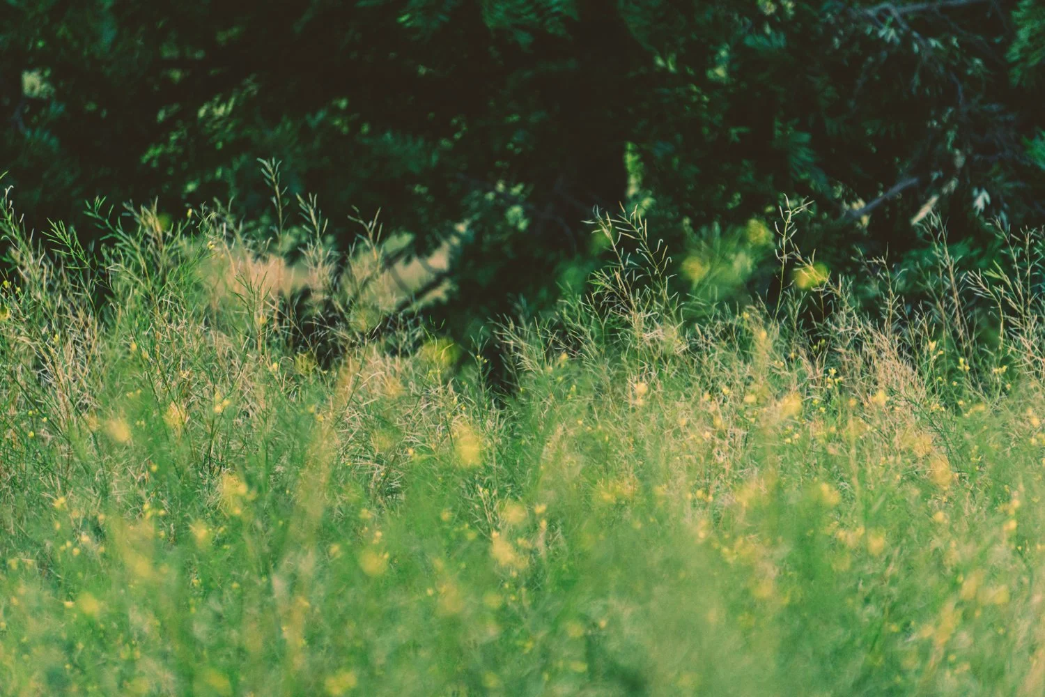 Blog_001.jpg
