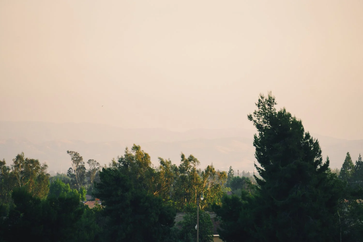 Blog_010.jpg