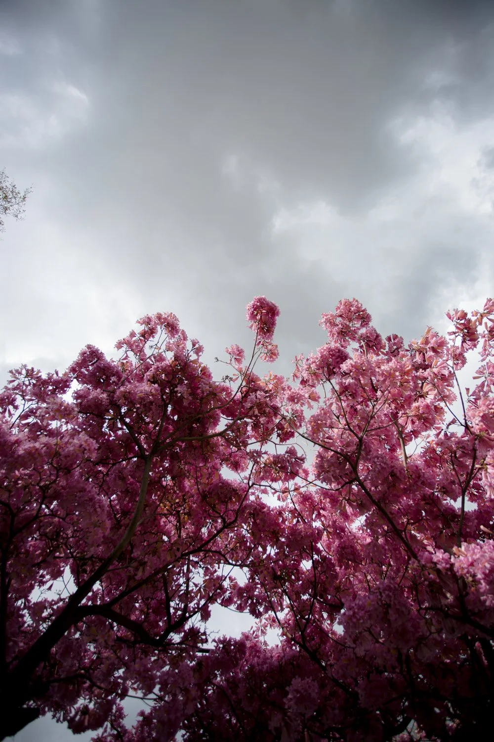 Blog_021.jpg