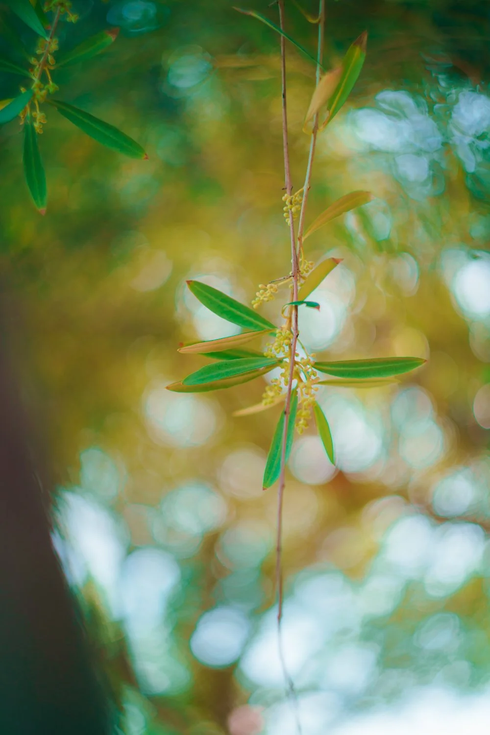 Blog_002.jpg