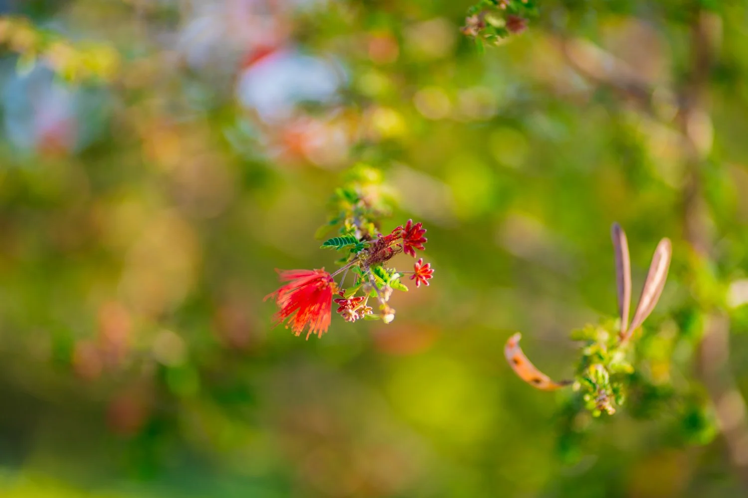 Blog_010.jpg