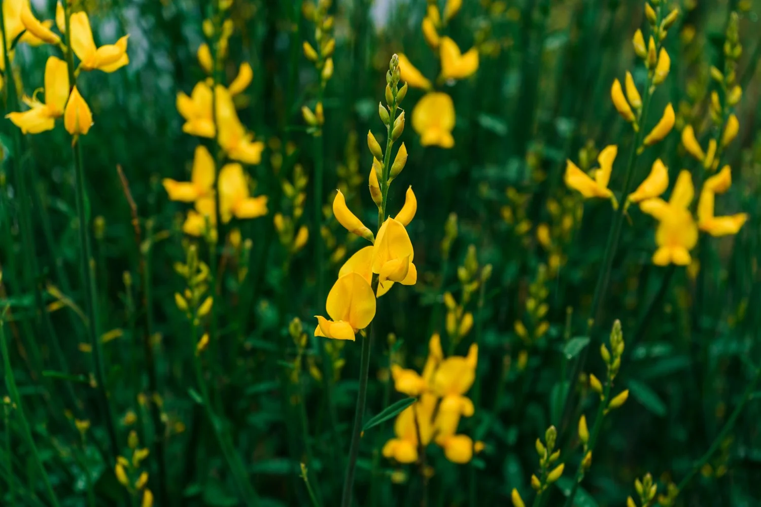 Blog_014.jpg