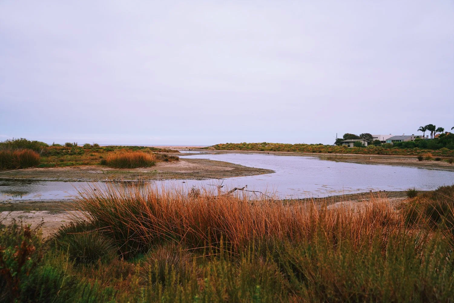 Blog_004.jpg