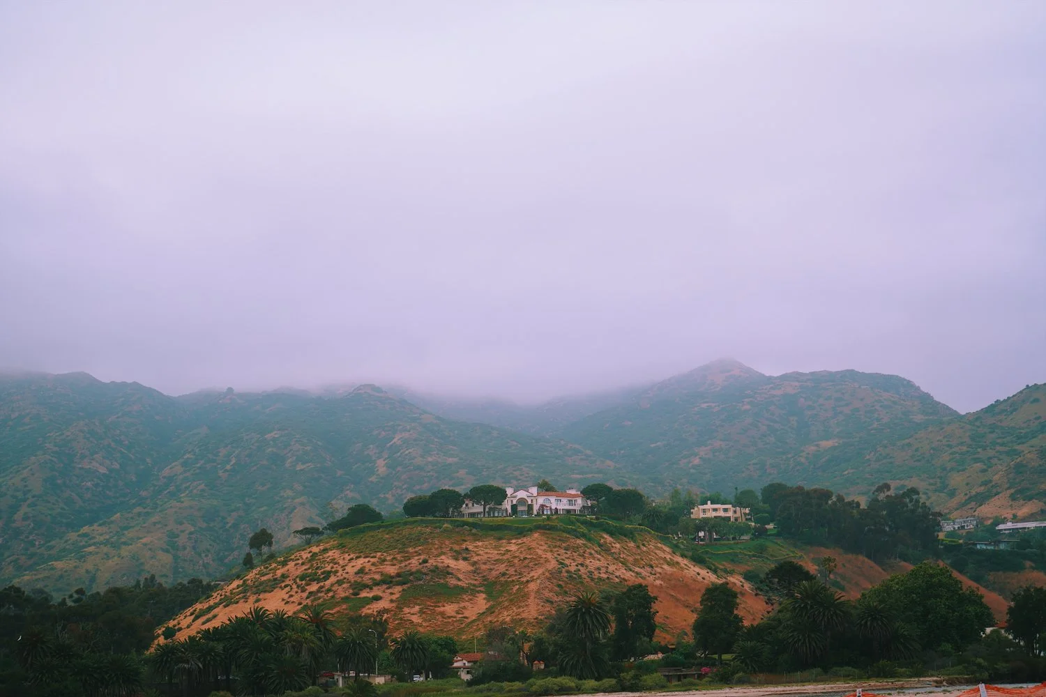 Blog_009.jpg