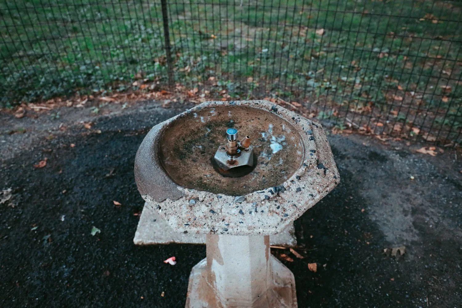 Blog_075.jpg