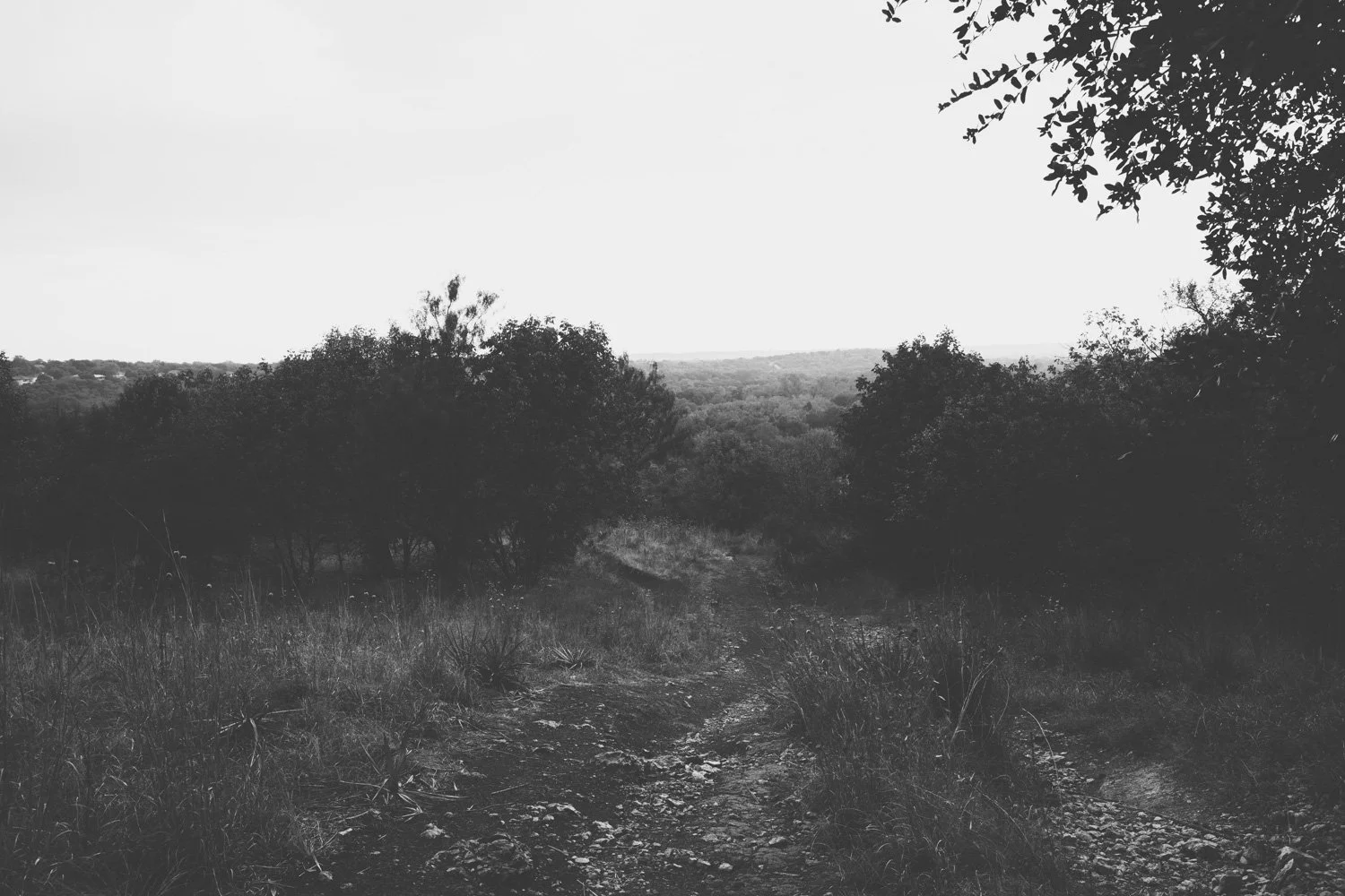 Blog_045.jpg