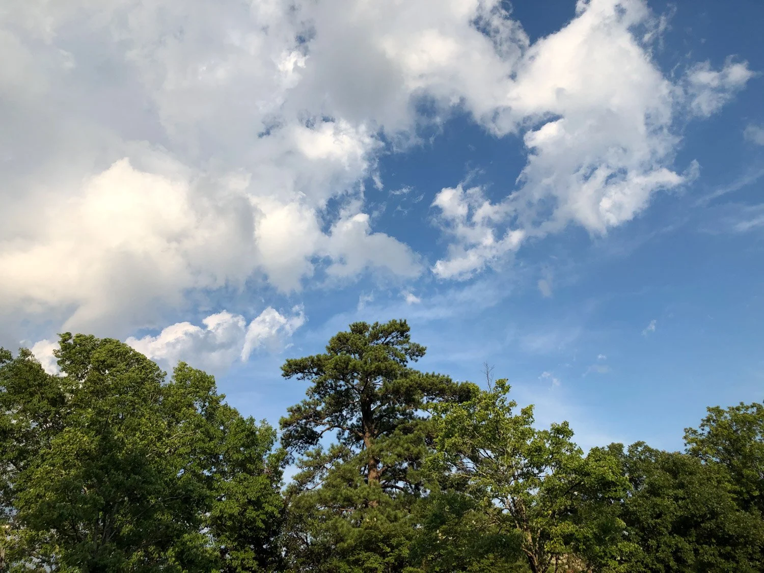 Blog_005.jpg