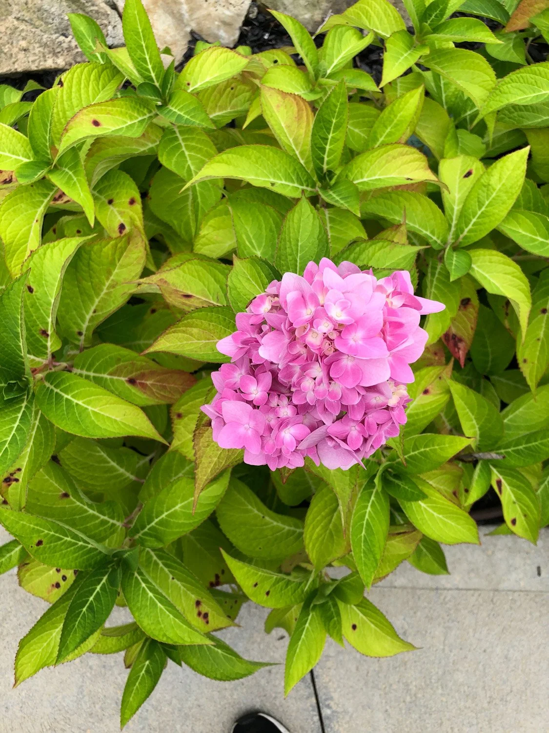 Blog_005.jpg