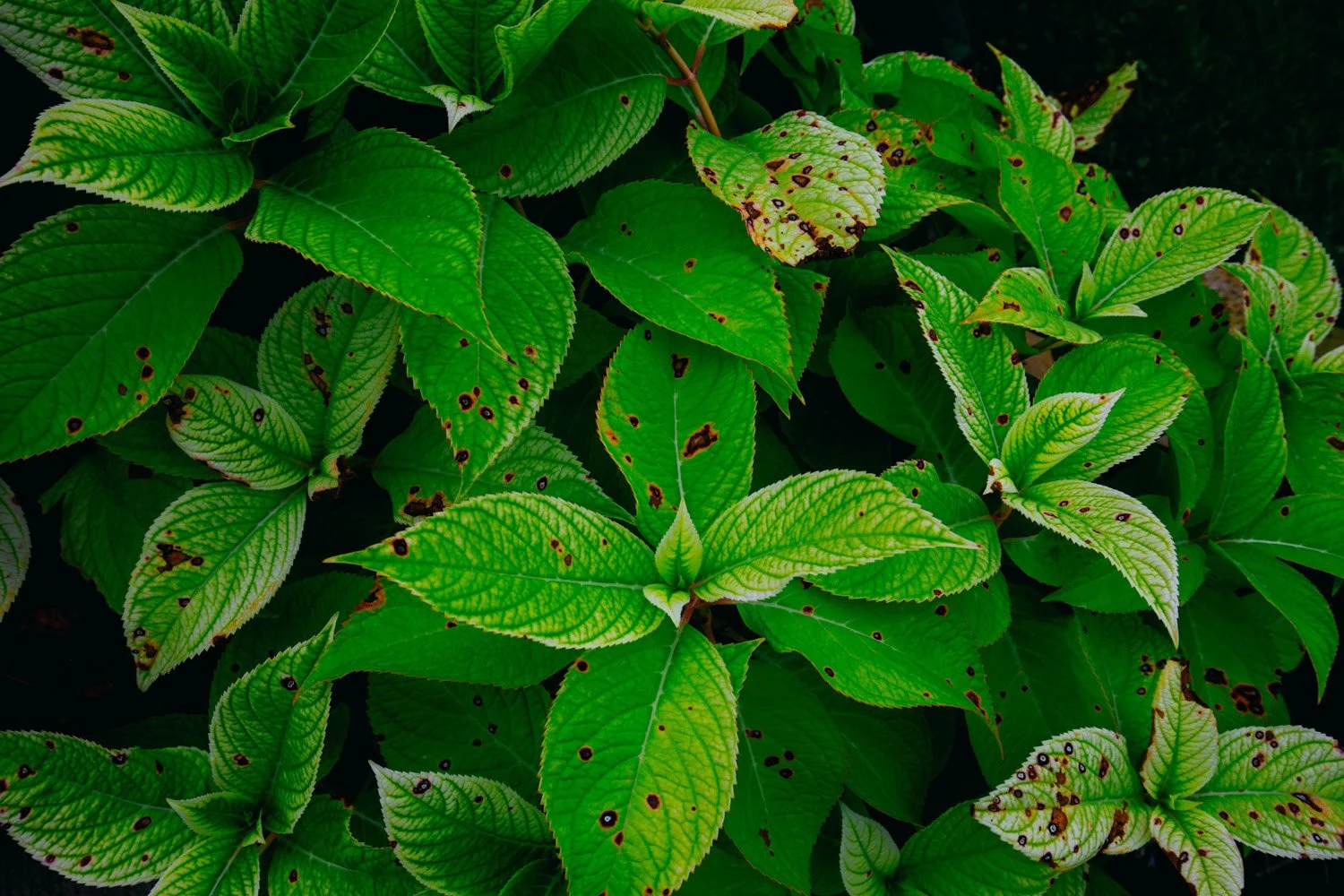 Blog_008.jpg