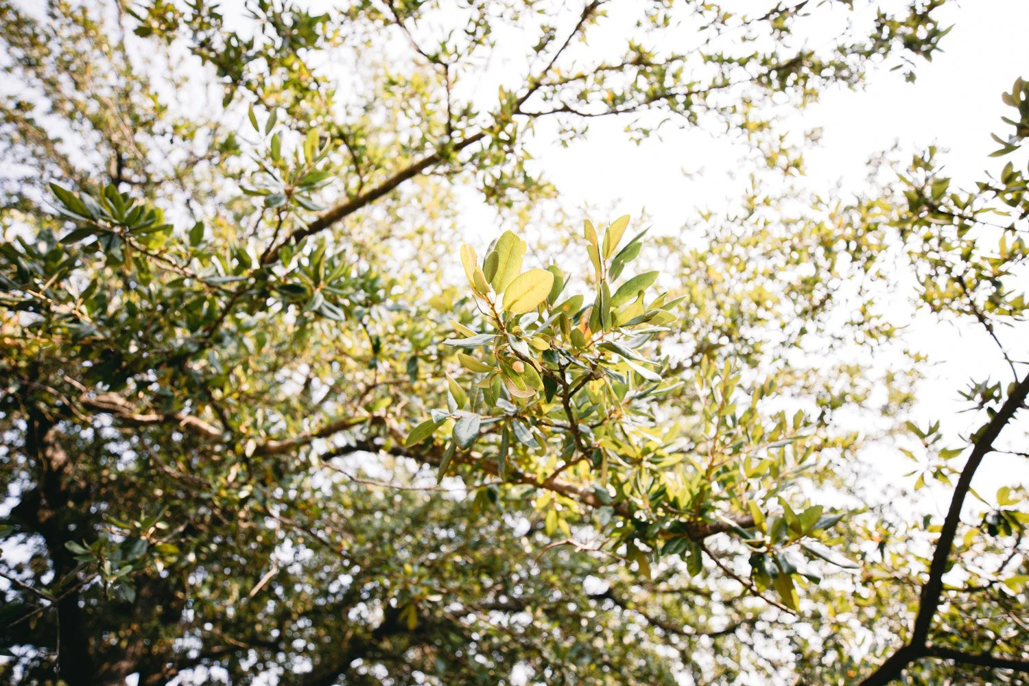 Blog_002.jpg