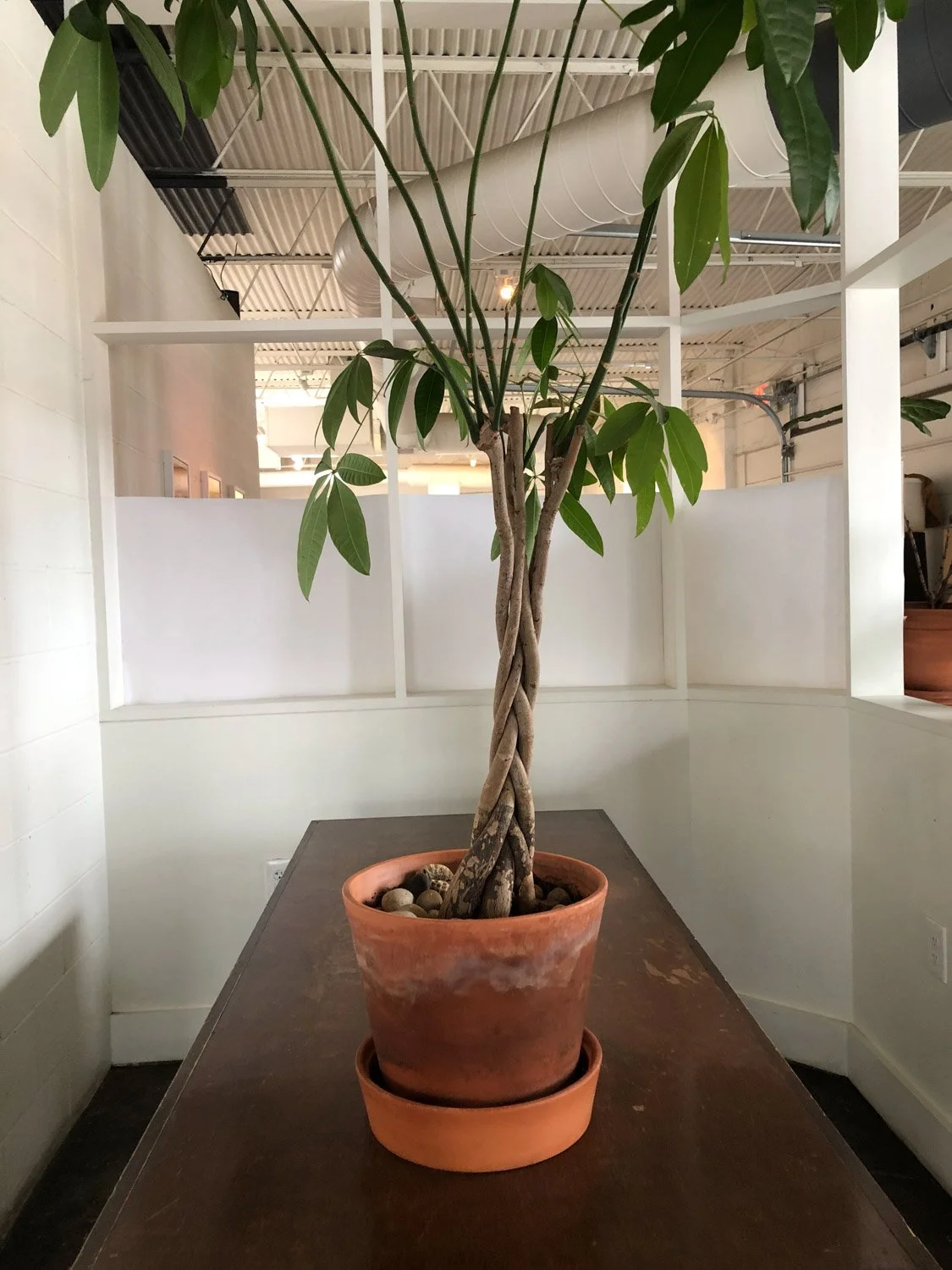 Blog_014.jpg