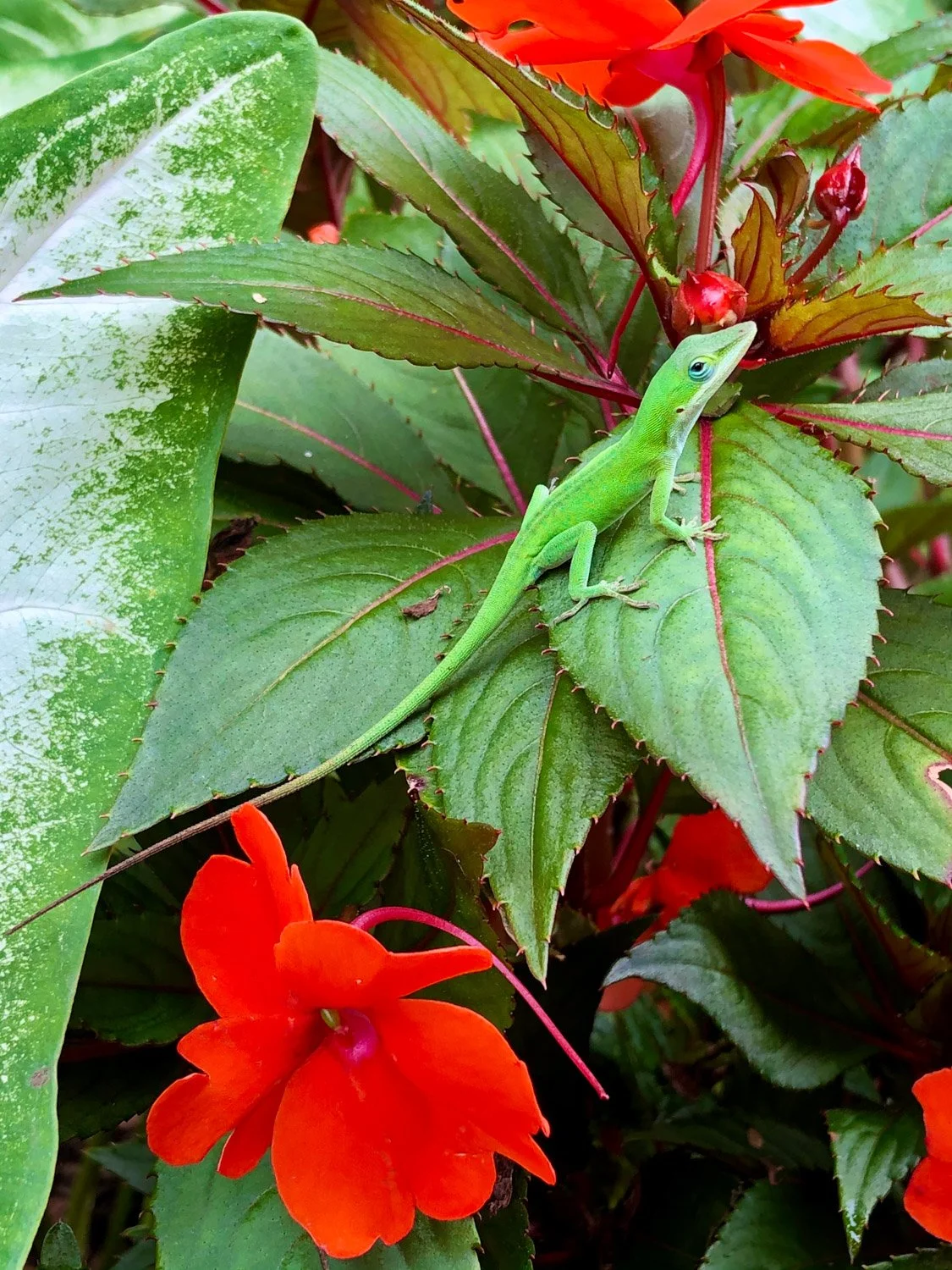 Blog_048.jpg