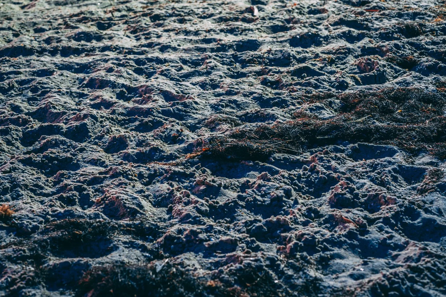 Blog_056.jpg