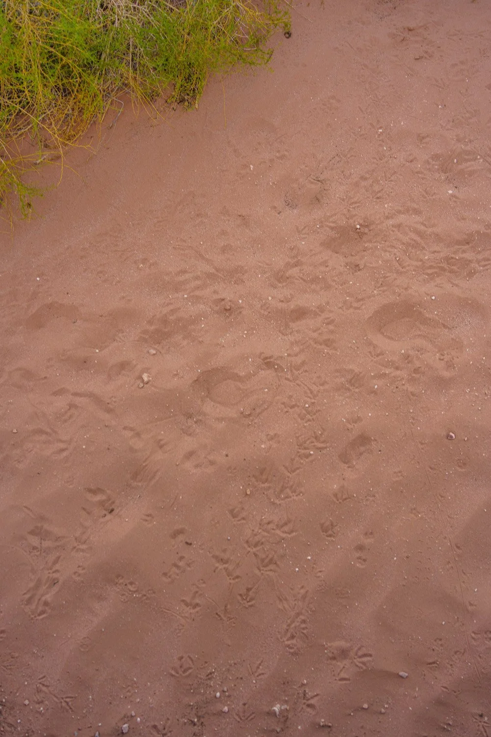 Blog_008.jpg