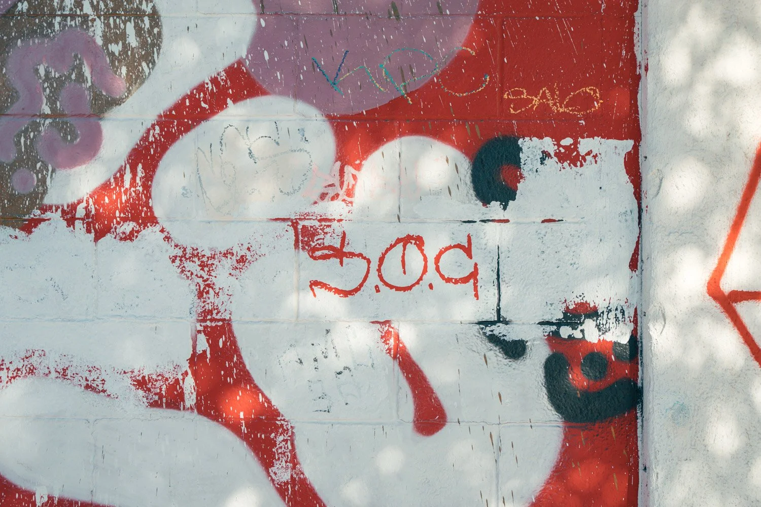Blog_065.jpg