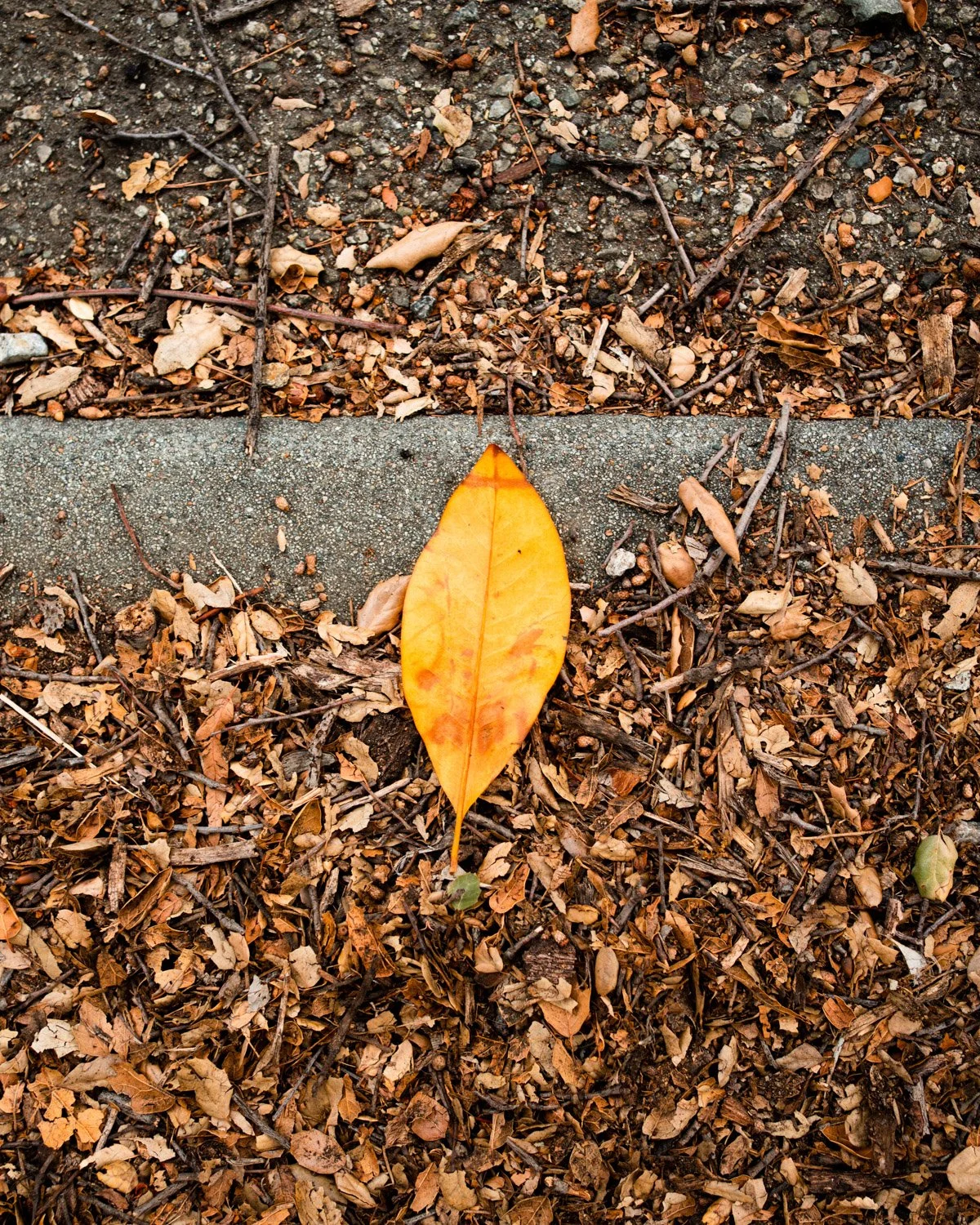 Blog_010.jpg
