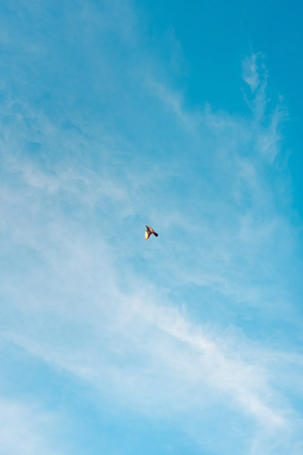 Blog_021.jpg