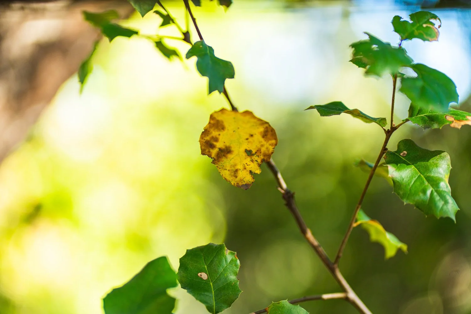 Blog_006.jpg